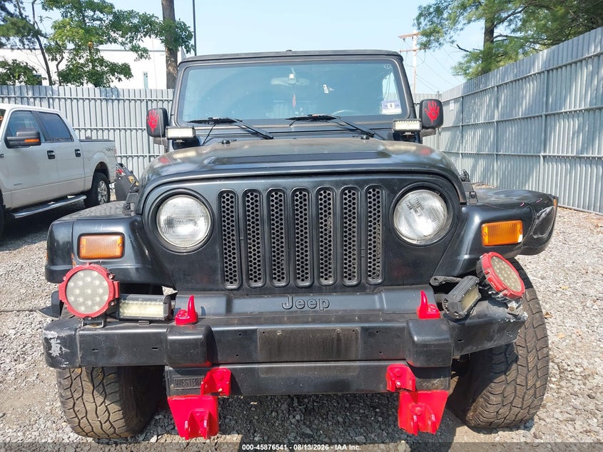JEEP WRANGLER 2003 VIN 1J4FA59S33P318483