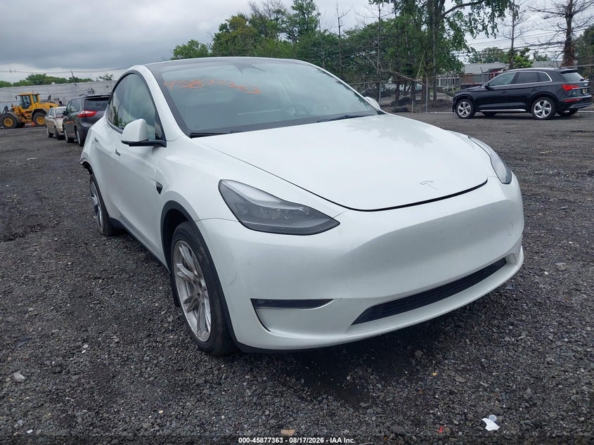 2023 TESLA MODEL Y auction photo 1