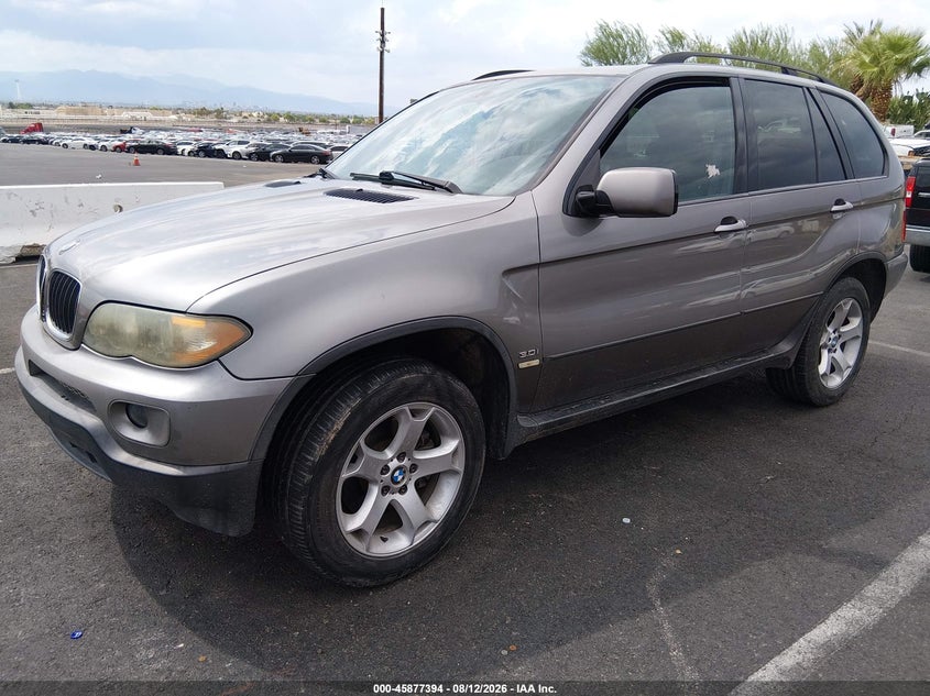 BMW X5 2006 VIN 5UXFA13516LY34661