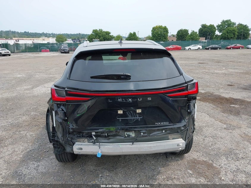 LEXUS NX 250 2023 VIN JTJGDCAZ3P5011585
