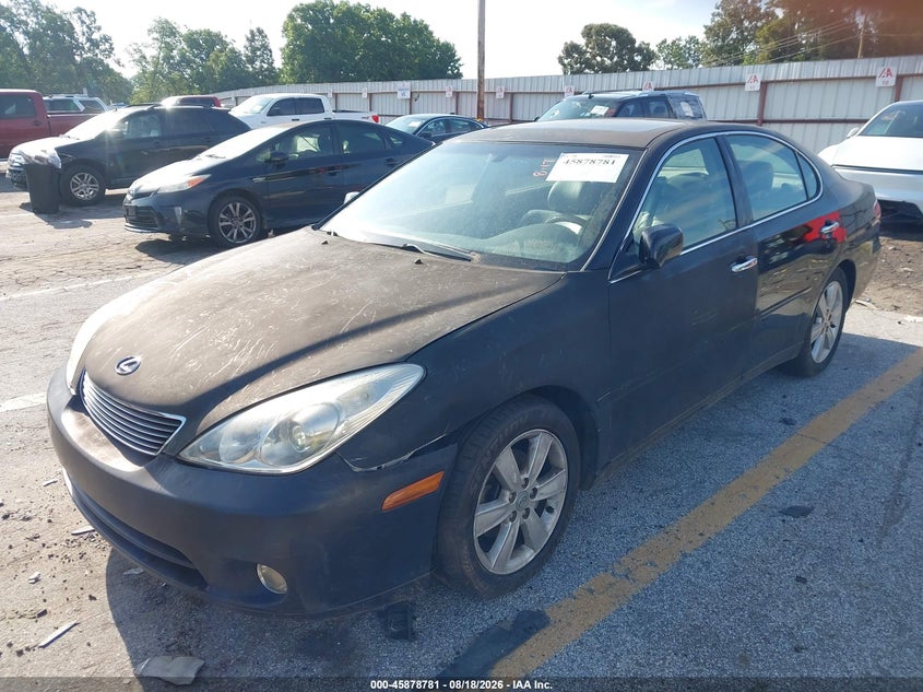 LEXUS ES 330 2005 VIN JTHBA30G450024019