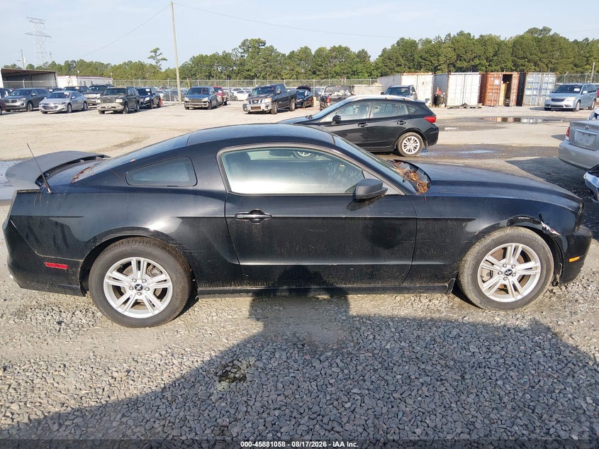 FORD MUSTANG 2013 VIN 1ZVBP8AM4D5241778