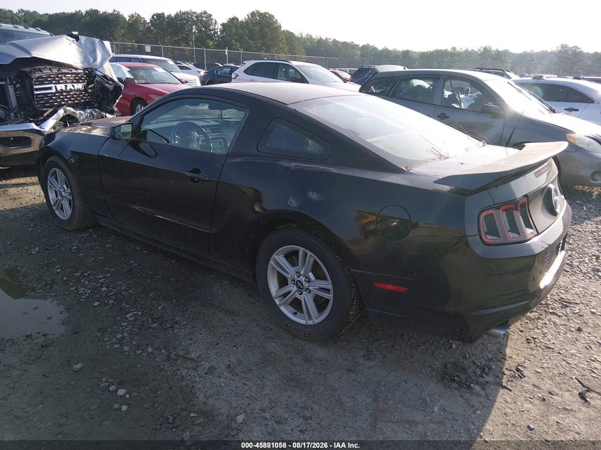 FORD MUSTANG 2013 VIN 1ZVBP8AM4D5241778