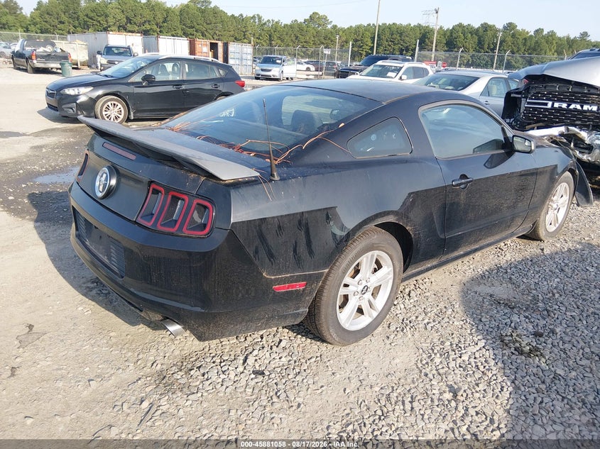 FORD MUSTANG 2013 VIN 1ZVBP8AM4D5241778