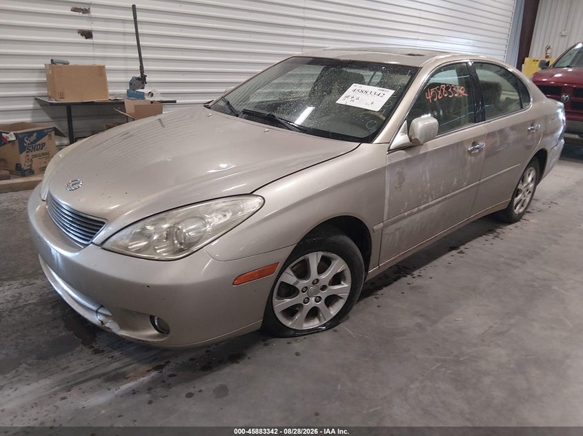2006 Lexus ES, All Over, IAAI, VIN JTHBA30G365161540 — photo 2