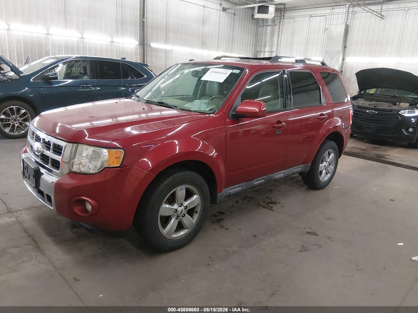 2010 Ford Escape, Обычный износ, IAAI, VIN 1FMCU9EG8AKB65503 — фото 2