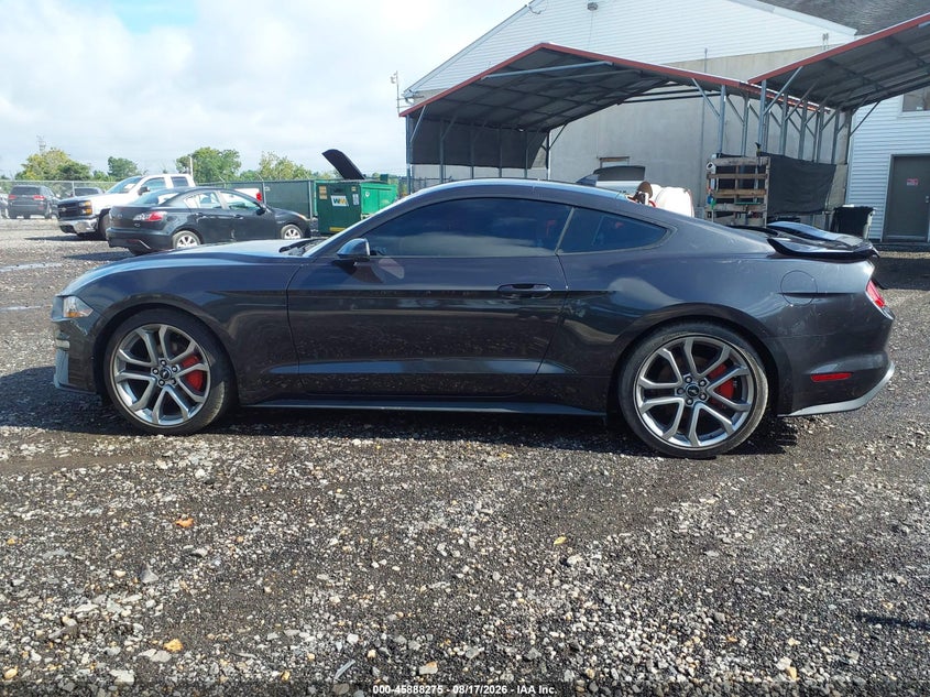 FORD MUSTANG - zdjęcie 14