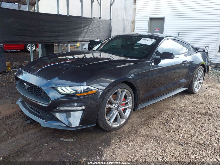 FORD MUSTANG - zdjęcie 2