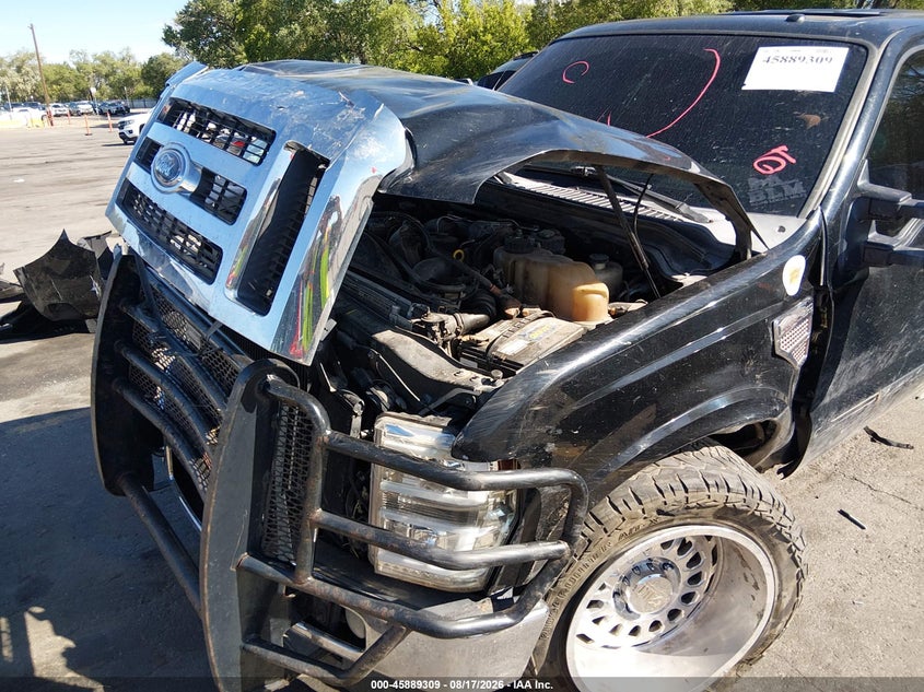 2010 FORD SUPER DUTY F-250 SRW auction photo 6