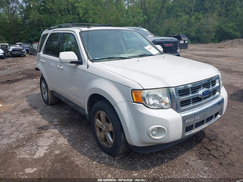 2010 FORD ESCAPE auction photo 1