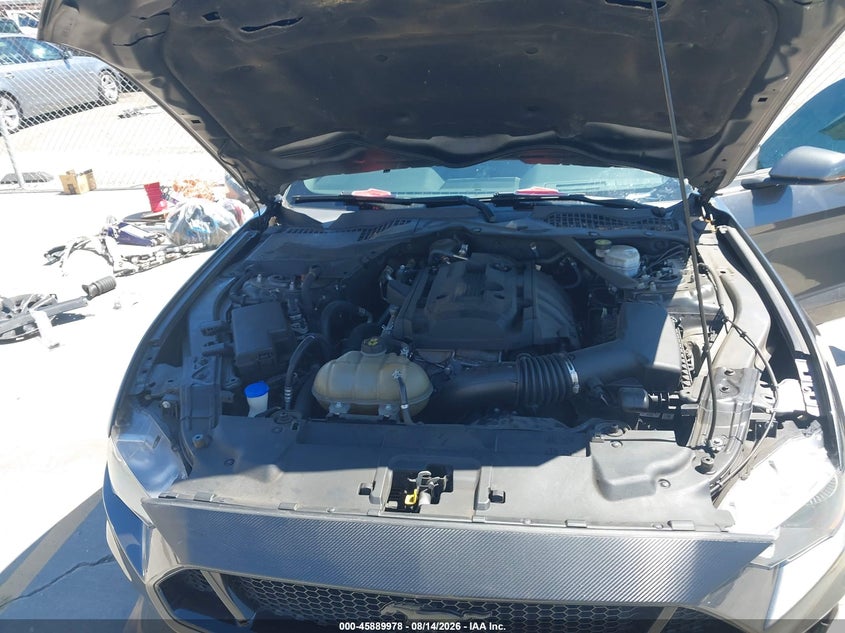 FORD MUSTANG - zdjęcie 10