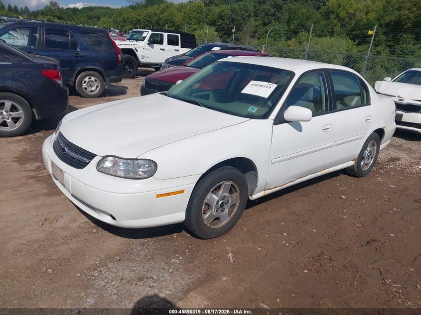 2003 Chevrolet Malibu, Обычный износ, IAAI, VIN 1G1NE52J43M548387 — фото 2