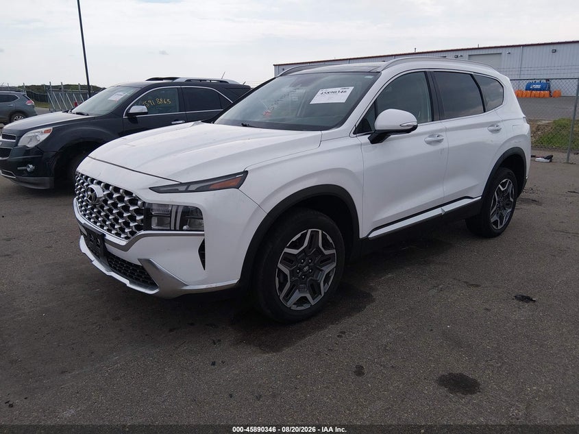2023 Hyundai Santa Fe, Удар ззаду, IAAI, VIN 5NMS3DA1XPH006803 — фото 2