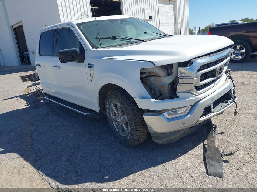 Vin: 1ftfw1e80pfa06322, lot: 46390408, ford f-150 xlt 20231