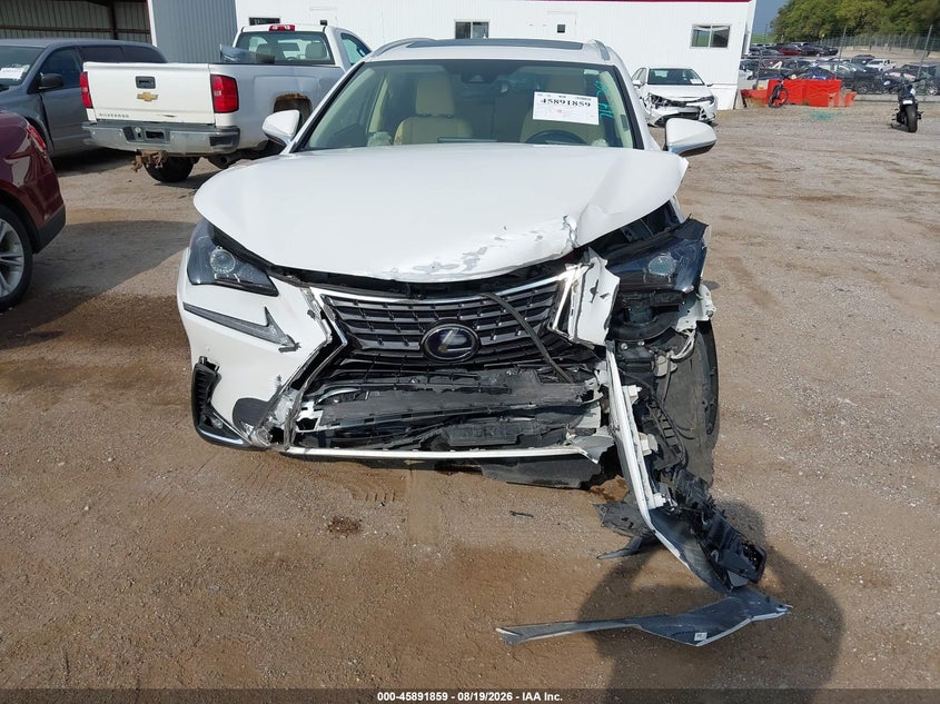 2020 LEXUS NX 300H auction photo 6