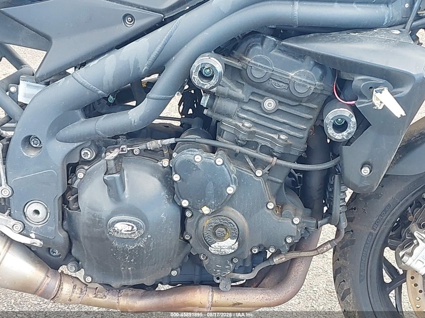 TRIUMPH SPEED 2009