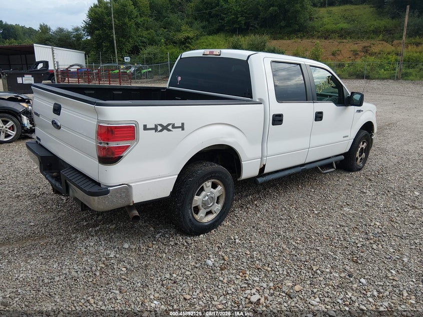 Vin: 1ftfw1et9bfb93024, lot: 46391159, ford f-150 xlt 20114