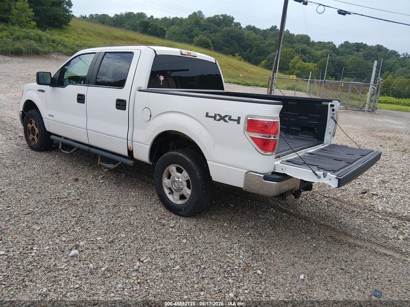2011 FORD F-150 auction photo 3
