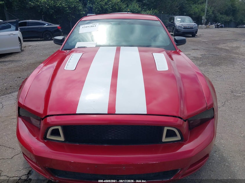 FORD MUSTANG 2013 VIN 1ZVBP8AM8D5269406