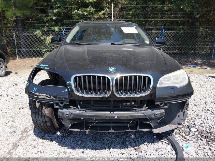 Photo 13 - BMW X6