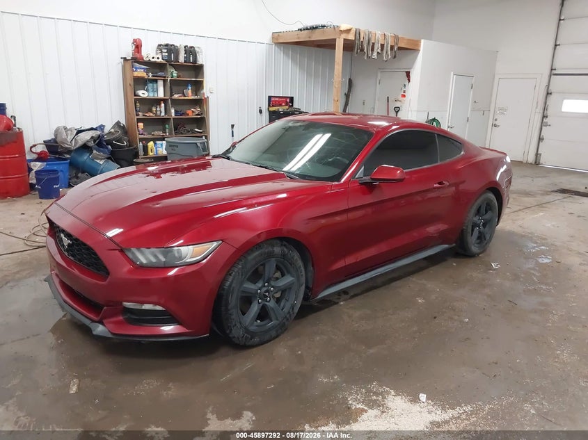 2017 Ford Mustang, Град, IAAI, VIN 1FA6P8AM4H5351911 — фото 2