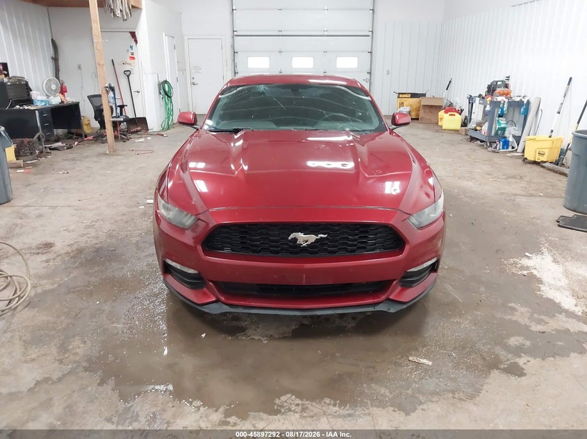 FORD MUSTANG - zdjęcie 12