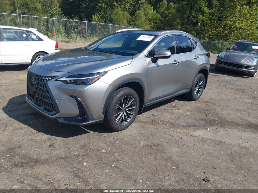 2024 LEXUS NX 350 auction photo 2
