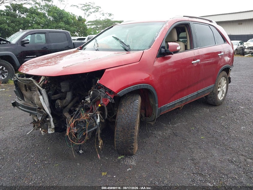 2015 Kia Sorento, Био/химия, IAAI, VIN 5XYKT4A69FG655951 — фото 2