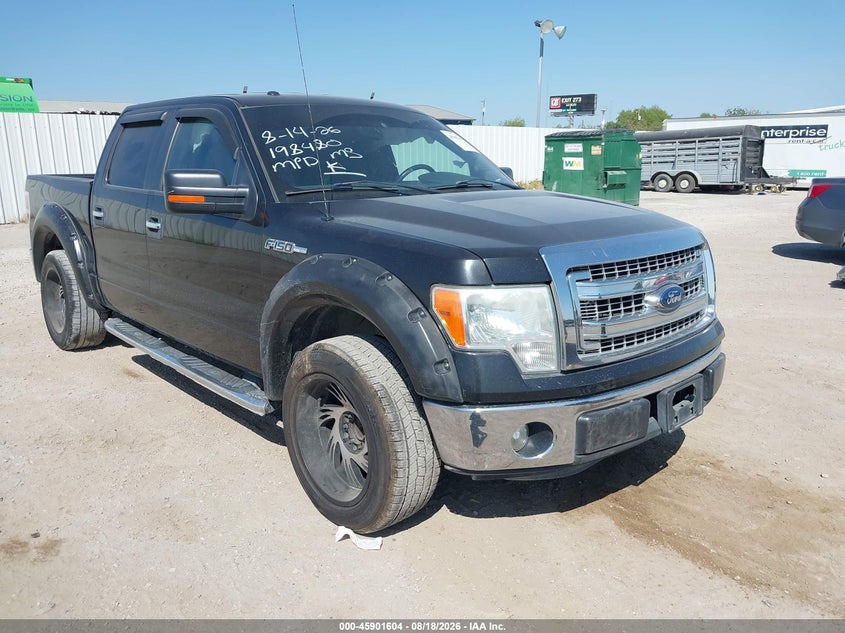 Vin: 1ftew1cm2dkd79294, lot: 46400665, ford f-150 xlt 2013 img_1