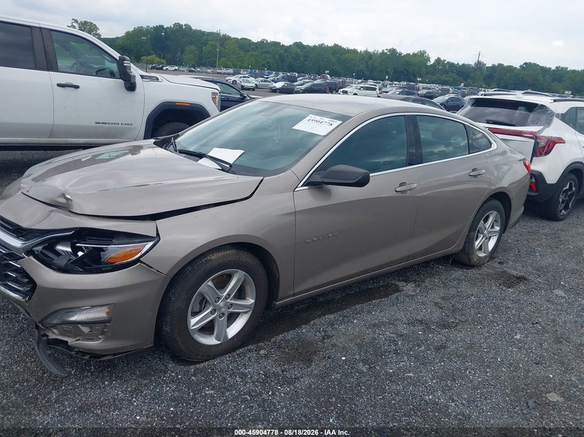 CHEVROLET MALIBU 2023 VIN 1G1ZB5ST7PF234481
