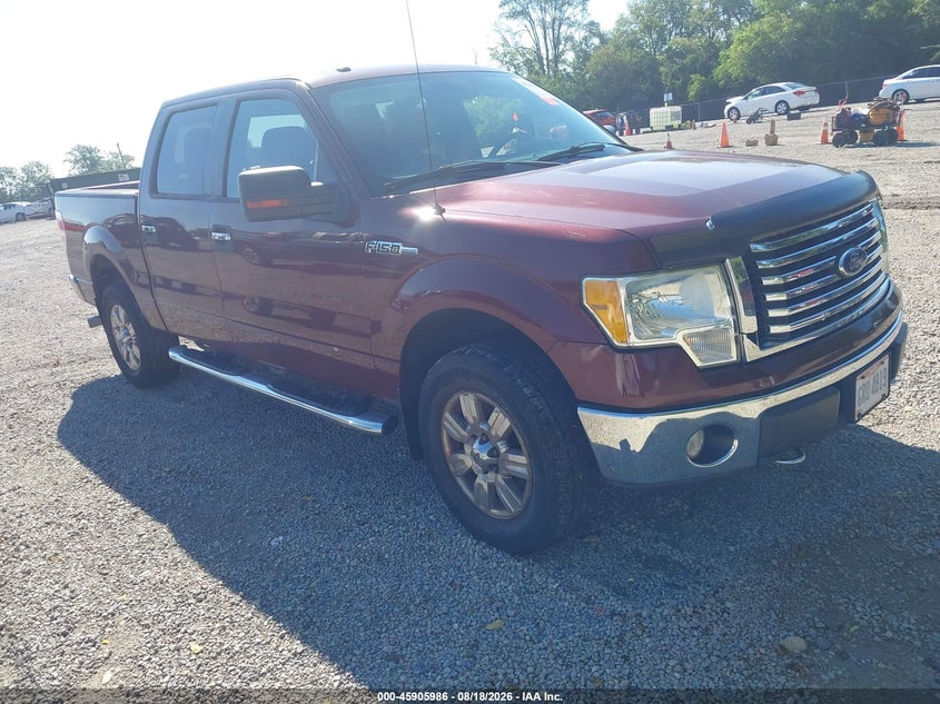 Vin: 1ftew1e84afd44647, lot: 46405054, ford f-150 xl/xlt 2010 img_1