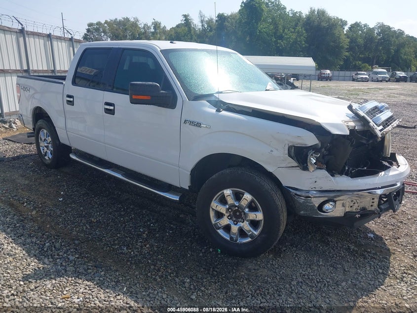 Vin: 1ftfw1ef8dfa34931, lot: 46405156, ford f-150 xlt 2013 img_1