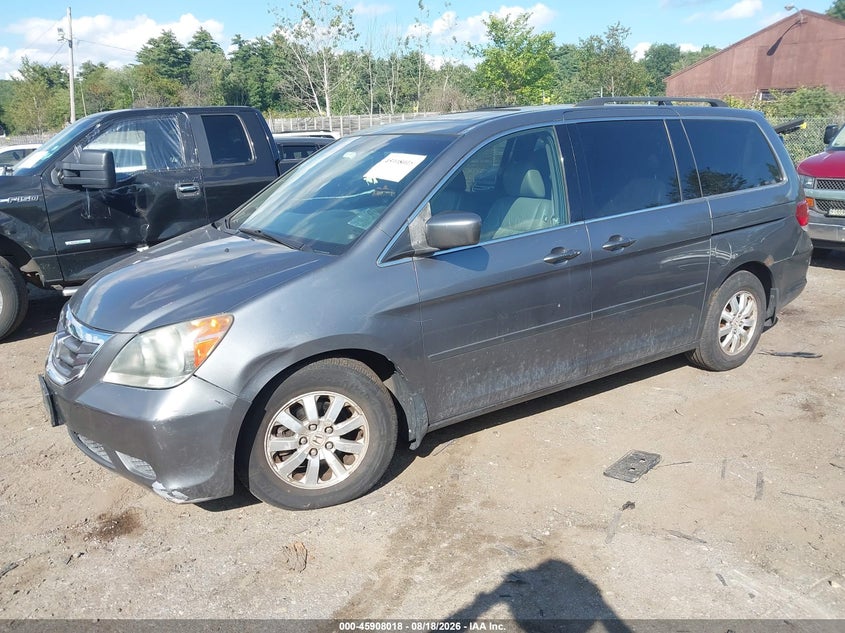 2009 Honda Odyssey, Normal Wear & Tear, IAAI, VIN 5FNRL38729B030424 — photo 2