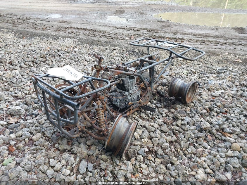 HONDA TRX250 2002