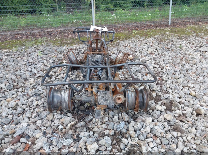 HONDA TRX250 2002