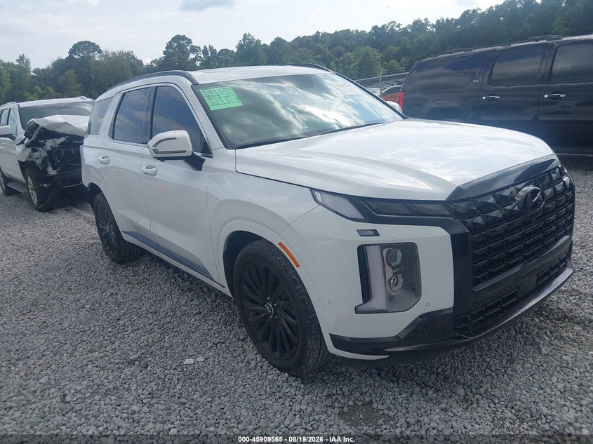 2025 HYUNDAI PALISADE CALLIGRAPHY NIGHT EDITION