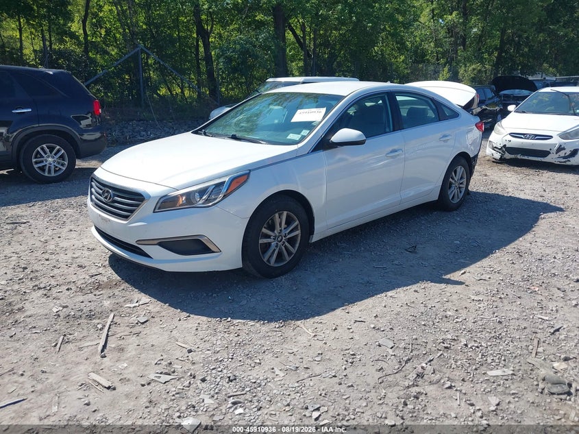 2016 Hyundai Sonata, Удар сзади, IAAI, VIN 5NPE24AF5GH372120 — фото 2