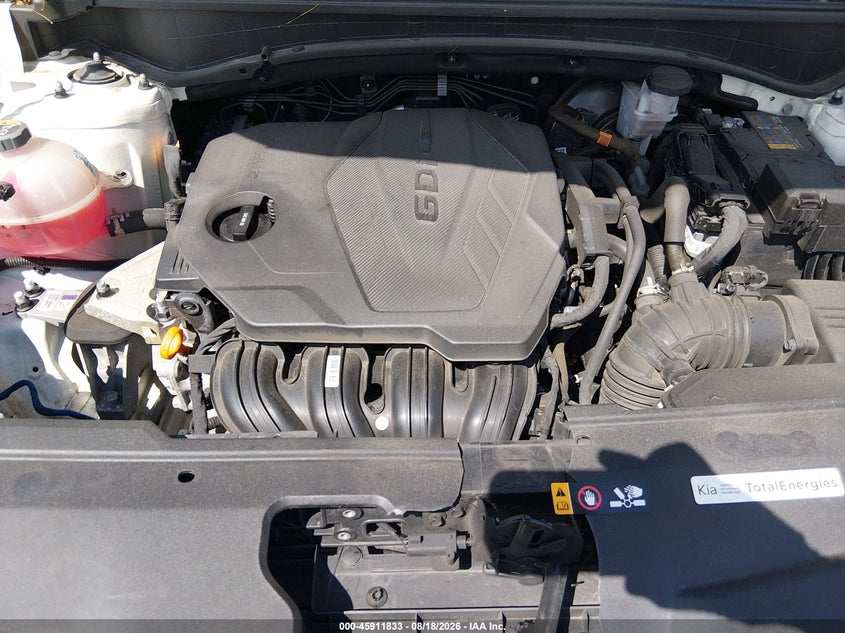 KIA SPORTAGE 2024 VIN KNDPUCDFXR7311314