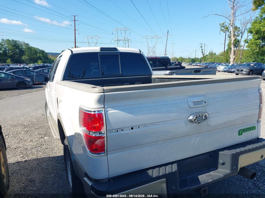 FORD F-150 2010 VIN 1FTFW1EV3AKE30517