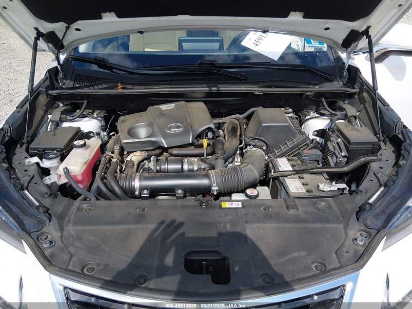 LEXUS NX 300 2021 VIN JTJDARDZ4M5020446