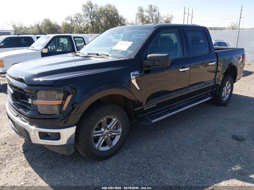 Vin: 1ftfw3ld1rfa75647, lot: 46413157, ford f-150 xlt 20242
