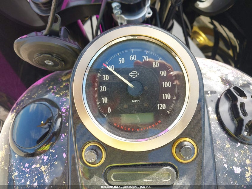 HARLEY-DAVIDSON FXDB 2016