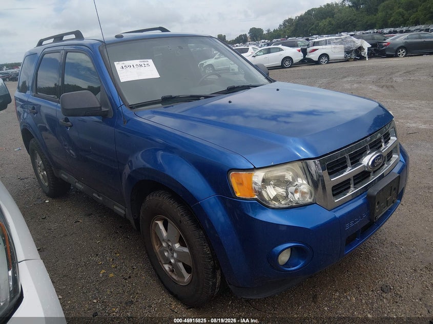 2011 Ford Escape XLT