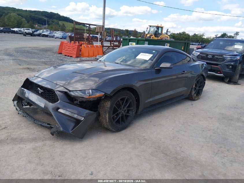 2019 Ford Mustang, Left & Right Side, IAAI, VIN 1FA6P8TH9K5105671 — photo 2