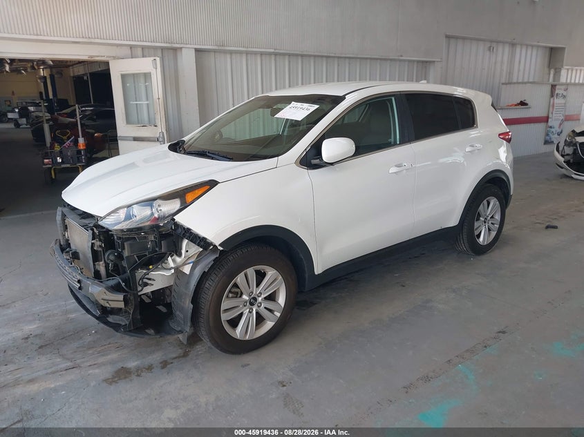 KIA SPORTAGE 2019 VIN KNDPM3AC7K7597137