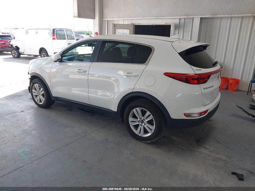 KIA SPORTAGE 2019 VIN KNDPM3AC7K7597137