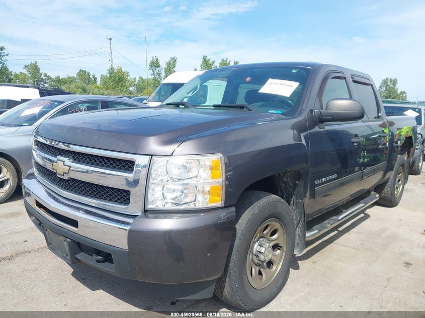 2010 CHEVROLET SILVERADO 1500 auction photo 2