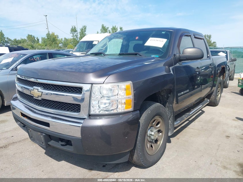 2010 CHEVROLET SILVERADO 1500 auction photo 6
