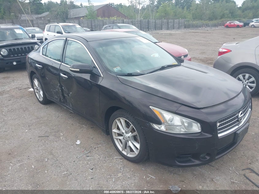 2010 Nissan Maxima 3.5 Sv, Правый бок, IAAI, VIN 1N4AA5AP4AC829122
