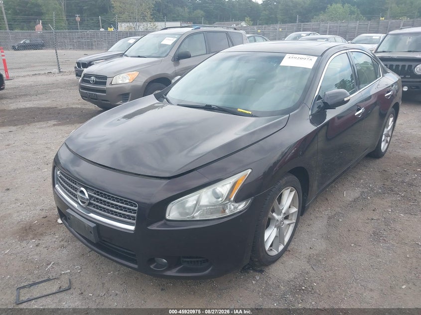 2010 Nissan Maxima, Right Side, IAAI, VIN 1N4AA5AP4AC829122 — photo 2